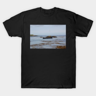 Cliften Connemara Galway T-Shirt